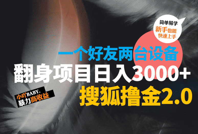 搜狐撸金2.0，日入3000+的翻身项目，可无限扩大!!!